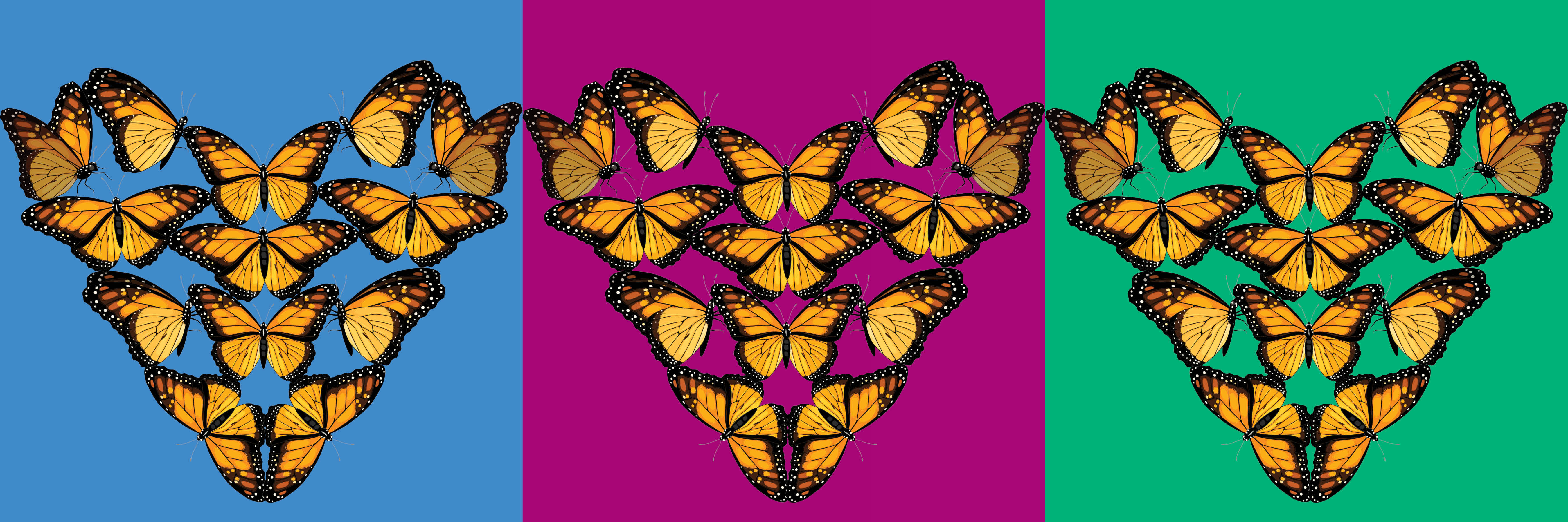 Three hearts made of orange and black monarch butterflies arranged in a row, on first a blue, then magenta, and green backgrounds.