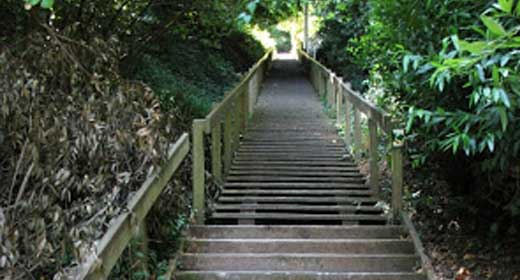 Dipsea Stairs