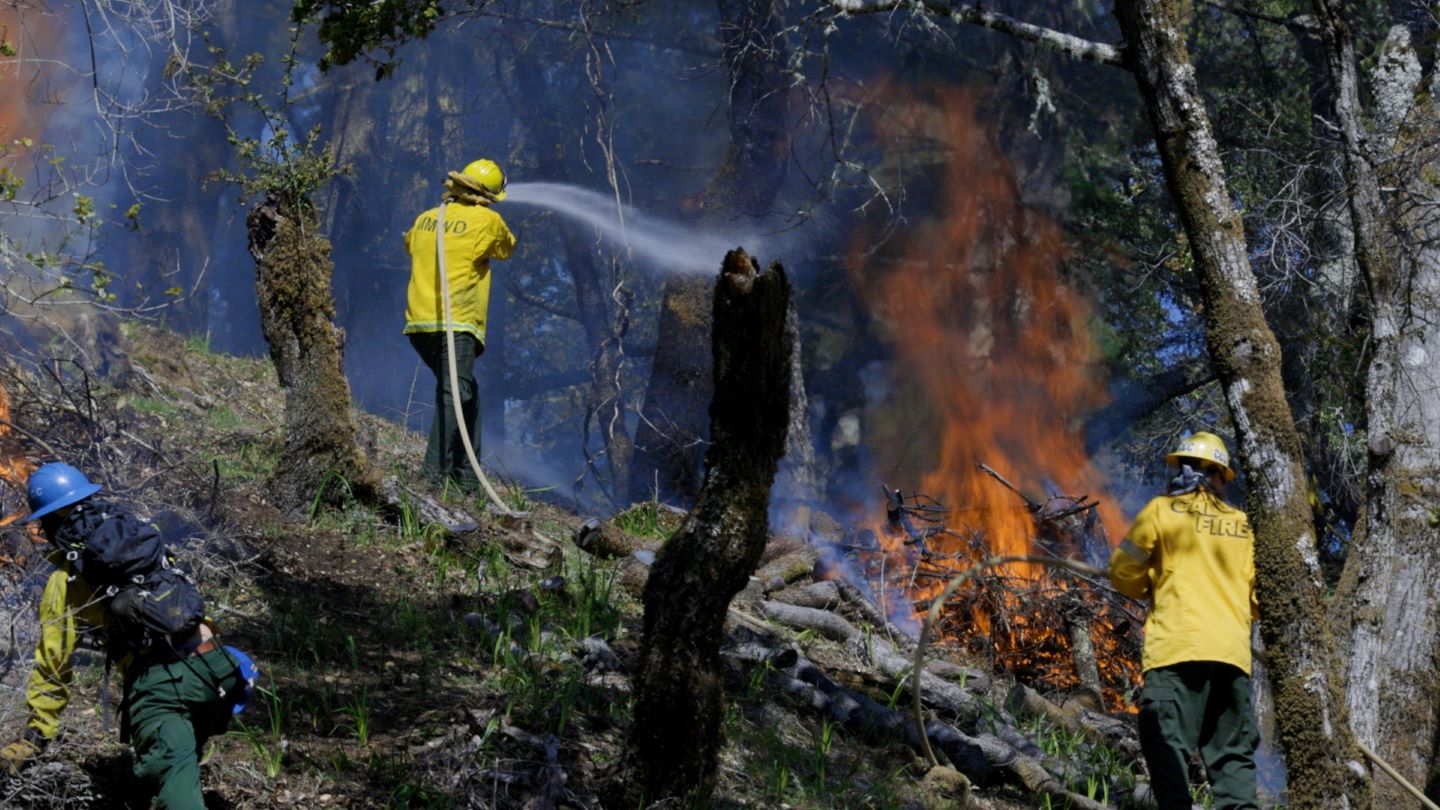 Three people in yellow jackets spray a pile of burning vegetation with water