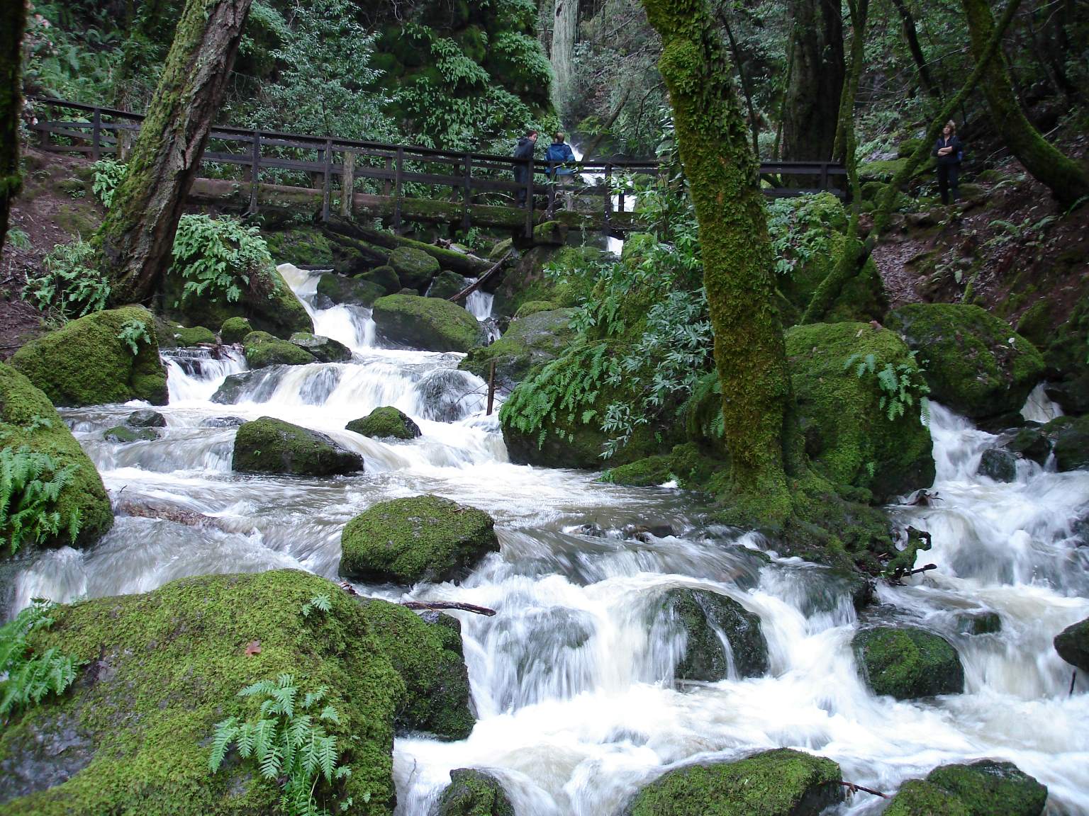 Water flowing down a rocky creek, wooden bridge with two visitors near the top.