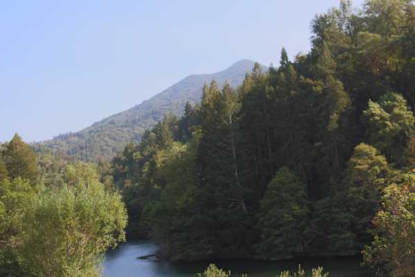 East peak of Mt. Tamalpais rises in the background, with darker forest filling most of the image, Phoenix Lake visible at bottom left.