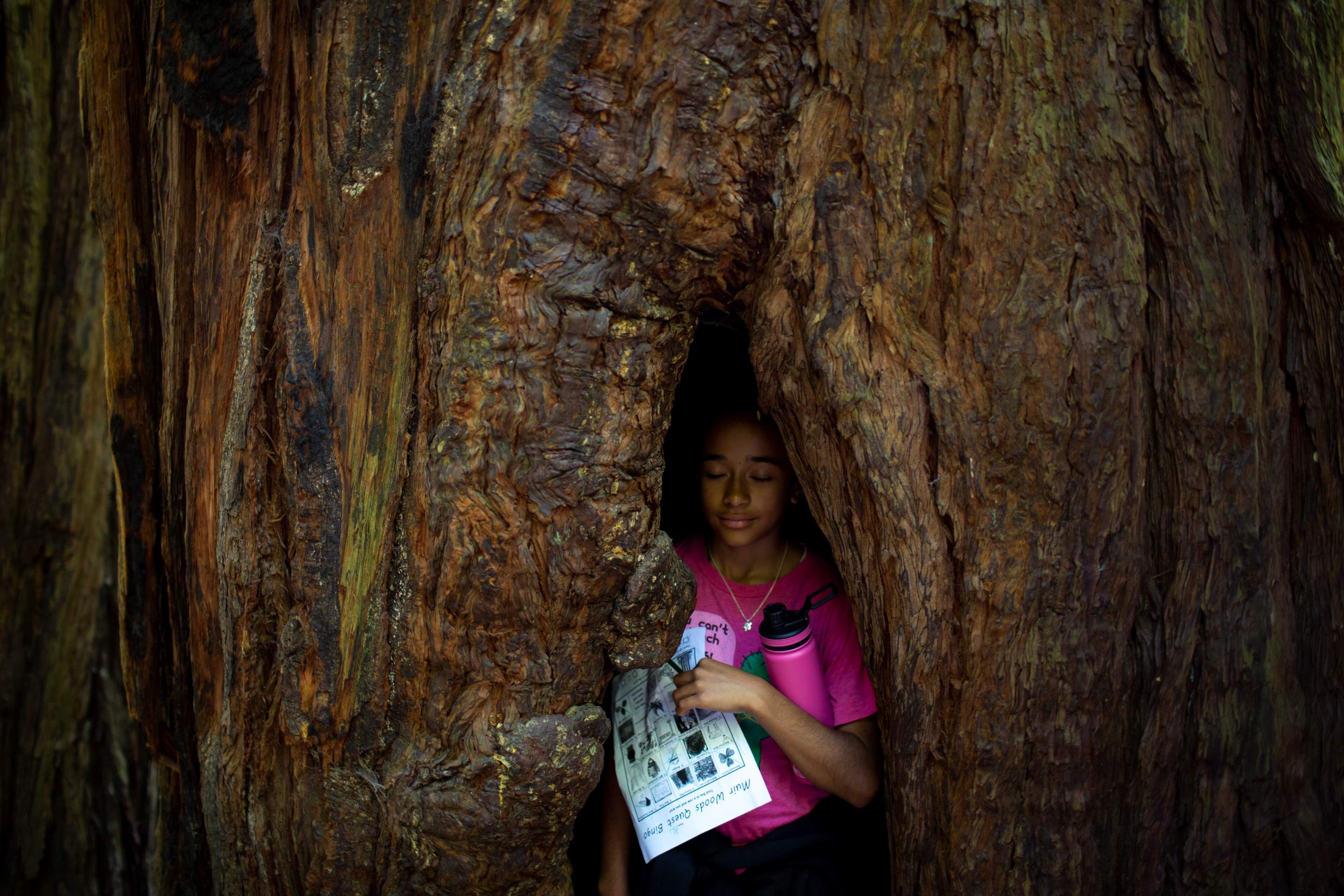Girl in pink shirt with paper in hand stands with eyes closed inside the opening in a redwood tree.