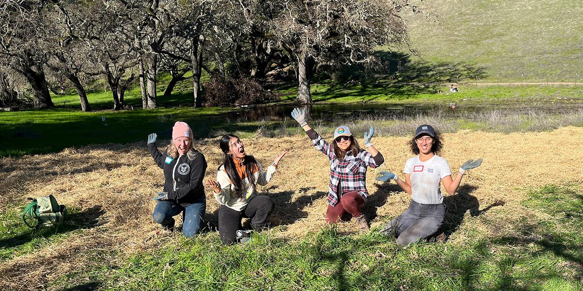 Four people at a volunteer event supporting habitat restoration for monarch butterflies