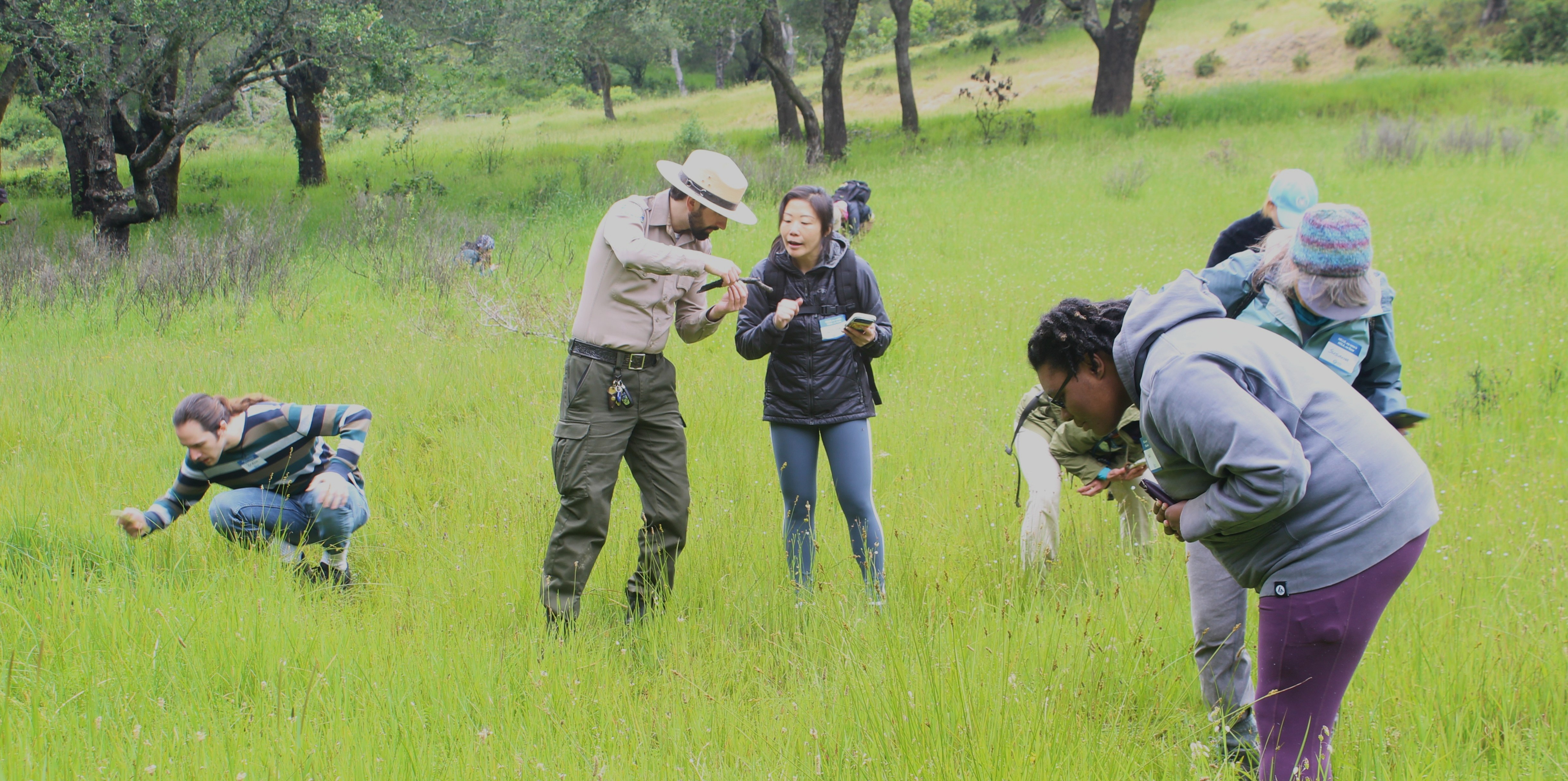 Volunteers make observations of nature during the bioblitz.