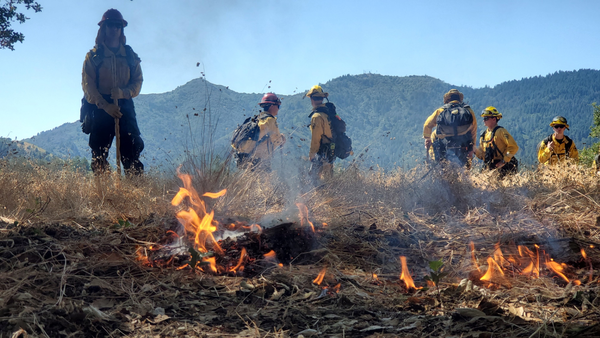 Prescribed fire on the Mt. Tamalpais Watershed. Photo: Marin Water