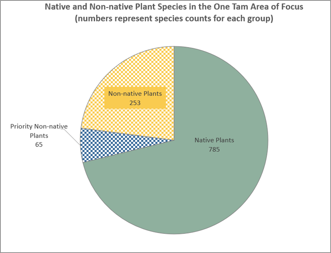 KNOWN NUMBERS OF NATIVE AND NON-NATIVE PLANT SPECIES IN THE ONE TAM AREA OF FOCUS 
