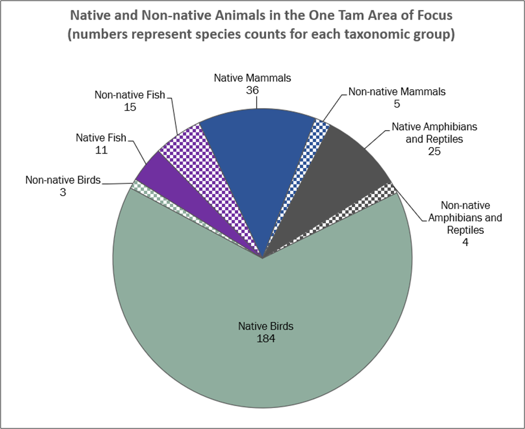 NUMBERS OF NATIVE AND NON-NATIVE ANIMAL SPECIES, ONE TAM AREA OF FOCUS