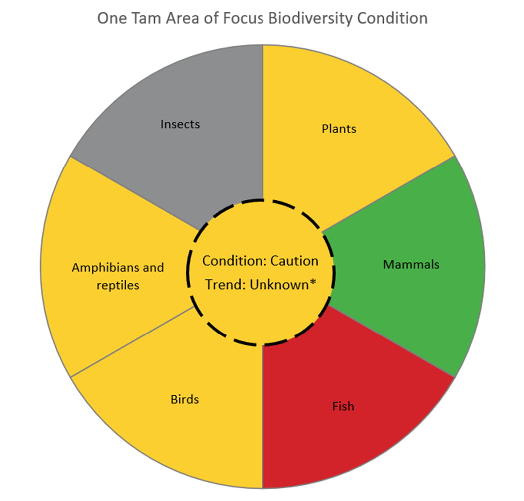 Mt. Tam's overall biodiversity as measured by aggregating groups of key health indicators, 2022