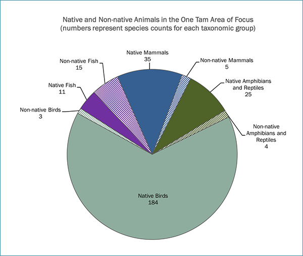 Invasive animals