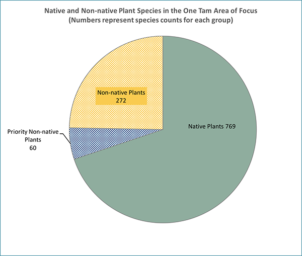 Invasive plants