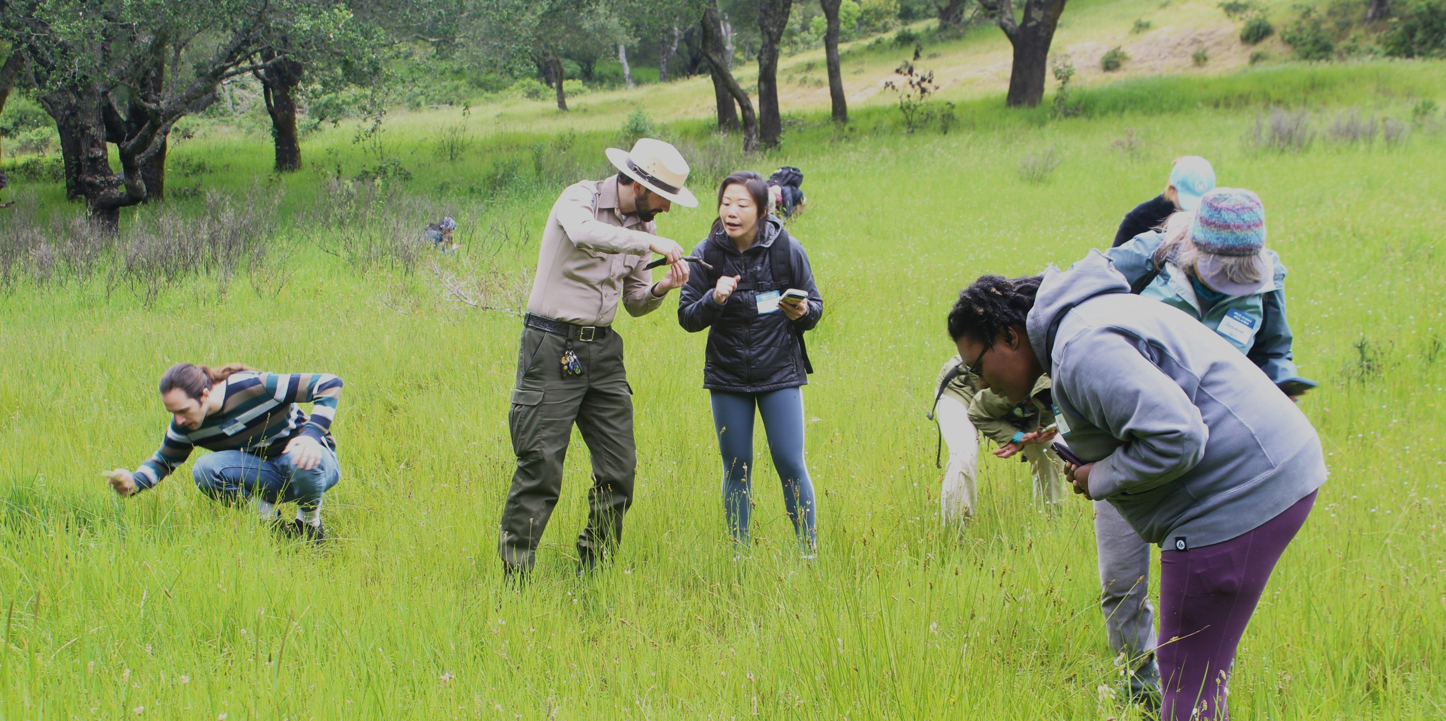 Volunteers making observations of nature during the bioblitz at Bon Tempe Lake, April 2026.