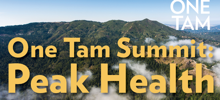 One Tam Summit: Peak Health text in yellow overlaid on a photo of Mt Tam from a distance