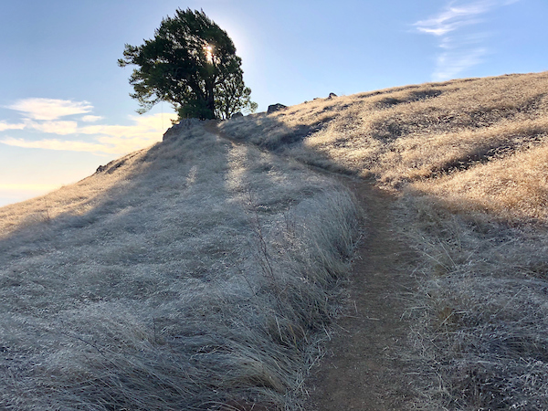 A trail view found from Rock Spring