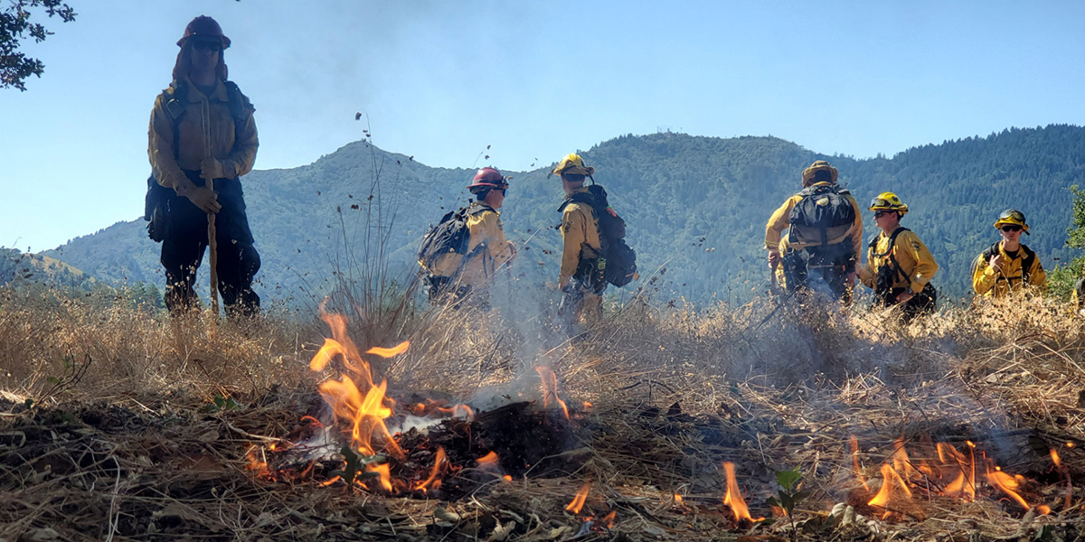 A prescribed burn near Bon Tempe Lake on Mt. Tamalpais.