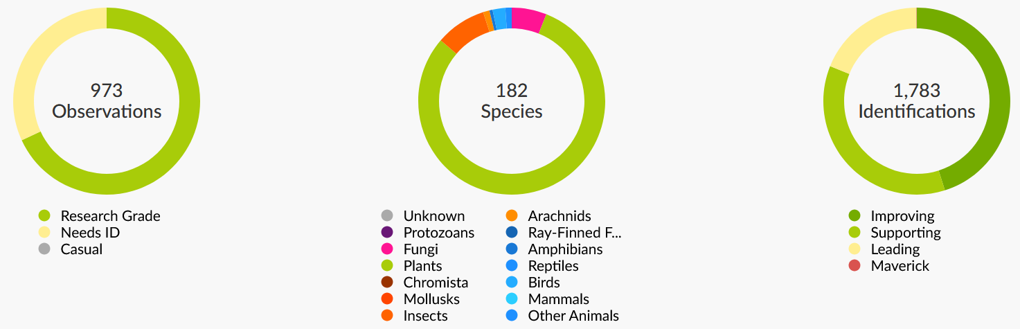 We logged observations, 182 species, and 1,783 identifications. Three circles describe proportions - research grade vs casual observations, types of species, and grade of identifications.