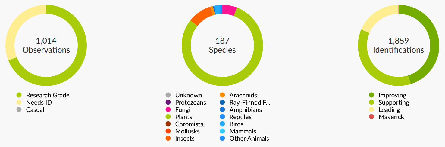 Three circle charts show the number of observations (1,014) and the proportion that are research grade (about 2/3), the number of species documented (187) and from which taxa (mostly plants) and the number of identifications contributed so far (1,859).