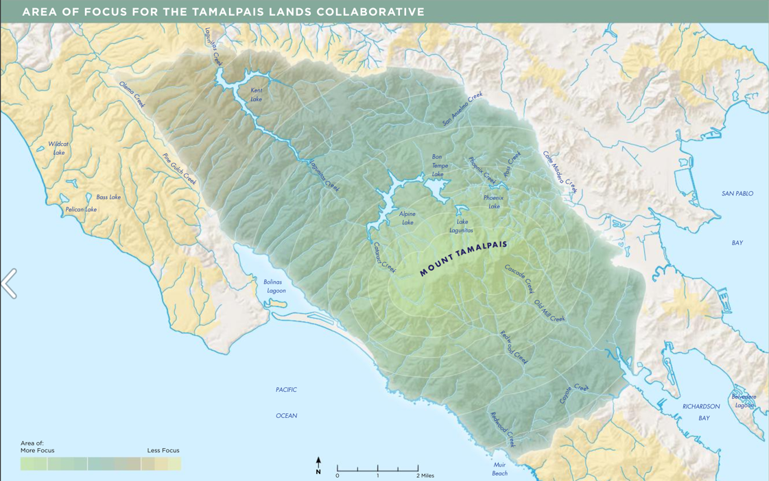 One Tam Area of Focus Map