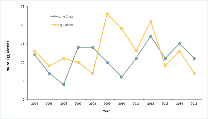 Annual egg mass counts for the Little Carson Creek and Big Carson Creek foothill yellow-legged frog populations, 2004–2015 (GANDA, 2016)