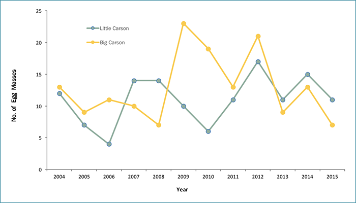 Annual egg mass counts for the Little Carson Creek and Big Carson Creek foothill yellow-legged frog populations, 2004–2015 (GANDA, 2016) Annual egg mass counts for the Little Carson Creek and Big Carson Creek foothill yellow-legged frog populations, 2004–2015 (GANDA, 2016)