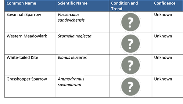 Condition, Trend, and Confidence for Grassland Bird Species Included in This Analysis Condition, Trend, and Confidence for Grassland Bird Species Included in This Analysis
