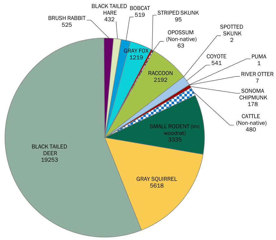 Mammal species and number of individual detections captured on camera