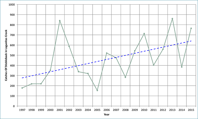 Catches of stickleback in Lagunitas Creek