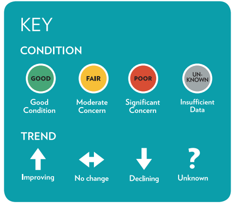 Peak health condition and trend icon key