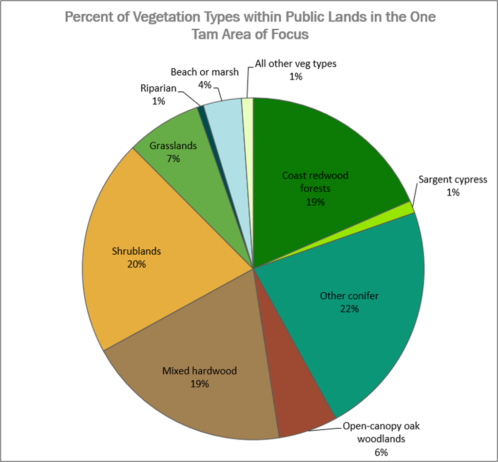 Percentage of Vegetation Types in the One Tam Area of Focus 