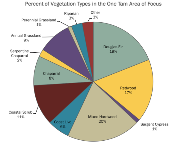 Vegetation percentage