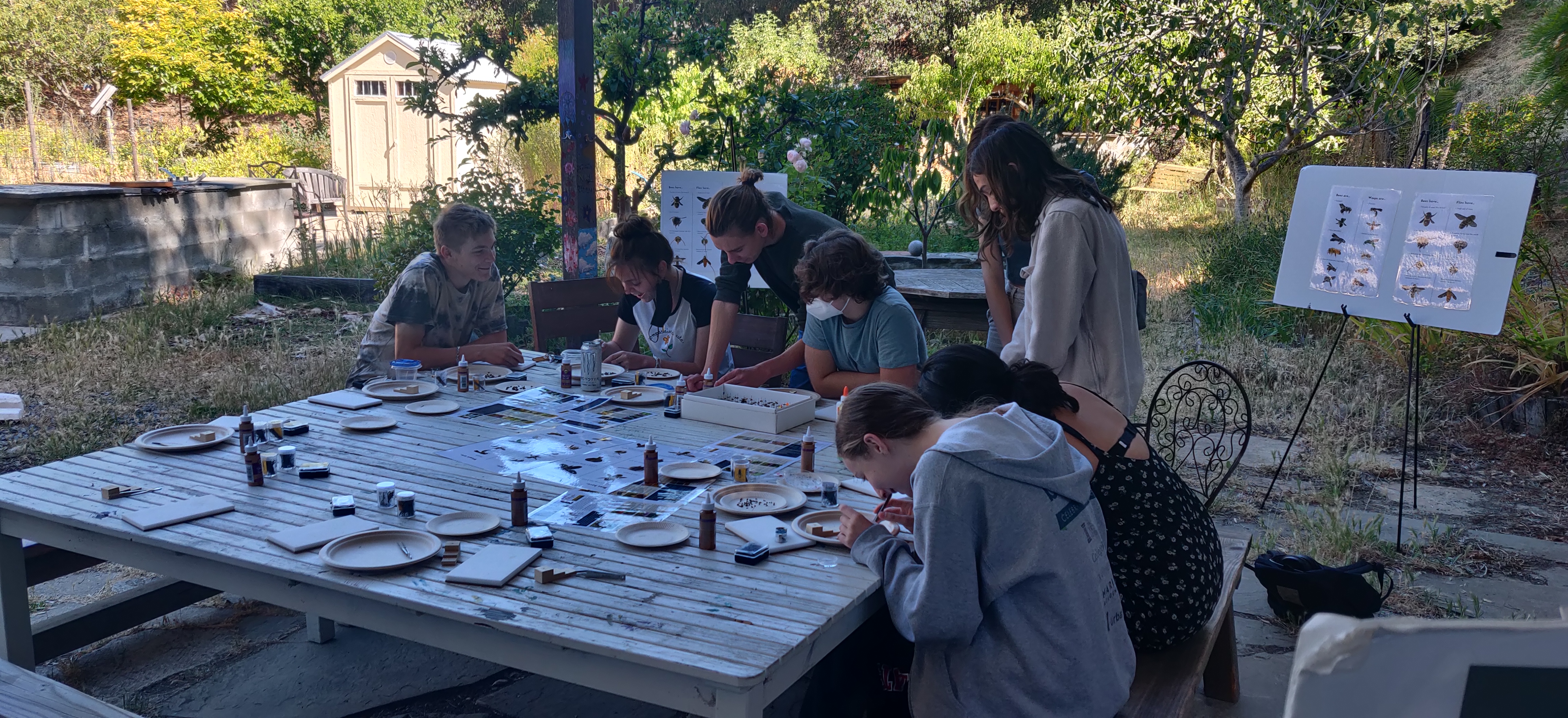 Volunteers sort specimens during a Tamalpais Bee Lab event. Photo by Sara Leon Guerrero, One Tam Community Science Program Manager.