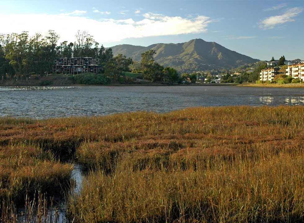 Bothin Marsh by Craig Solin