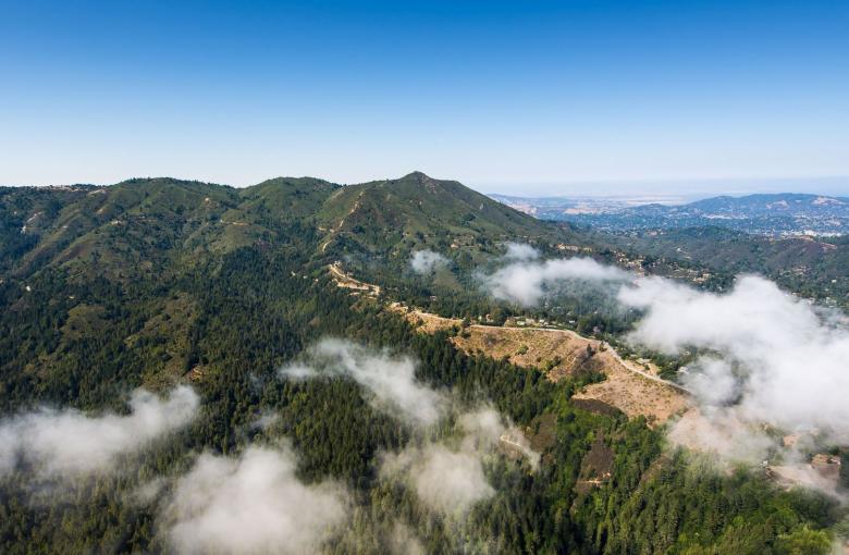 Green outline of Mt Tam against a blue sky. A tan ridge and white clouds emerge at the bottom left.