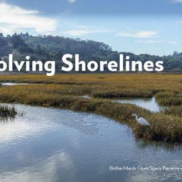 Evolving Shorelines cover image
