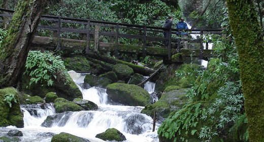 Cataract Trail