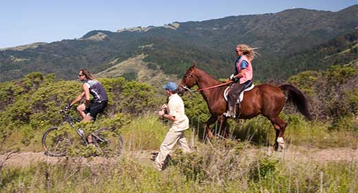 Dias Ridge Trail